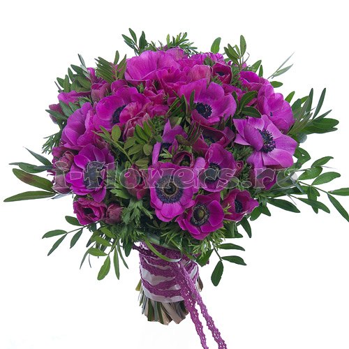 Кадр 19 из 20