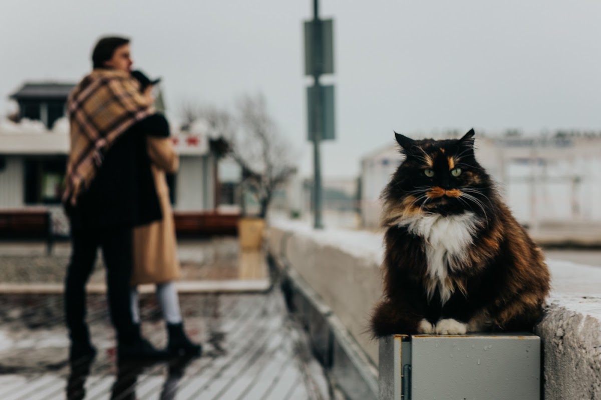 Портфолио: Love story