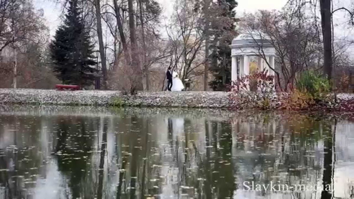 Фотографии
