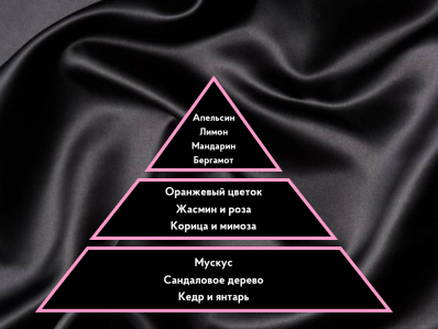 Портфолио