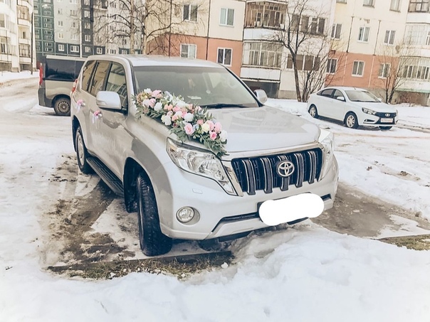 Портфолио: Украшение авто