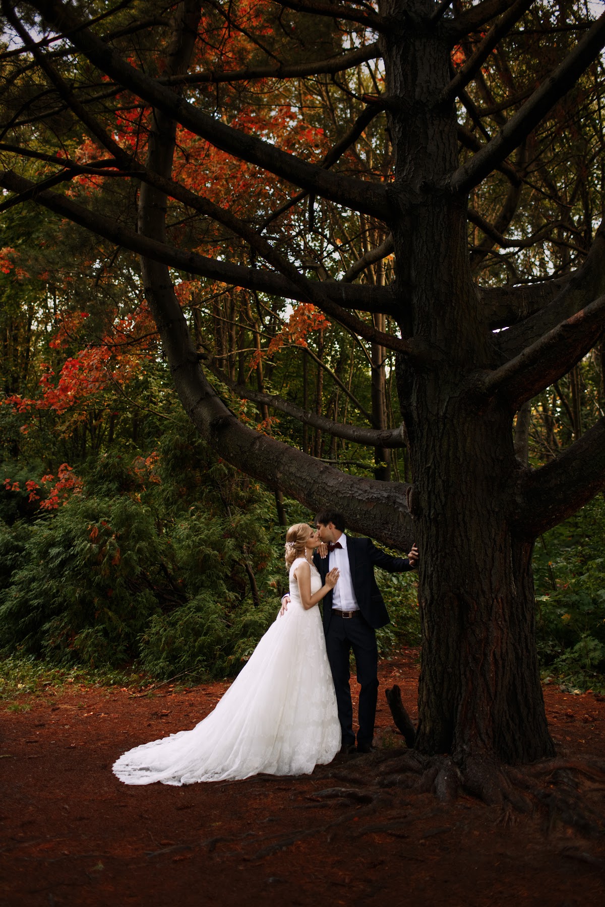 Михаил и Елена. Wedding day 5.09.2015