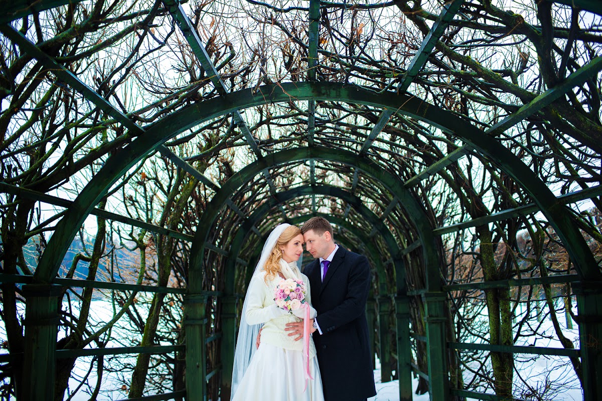 Кадр 74 из 105