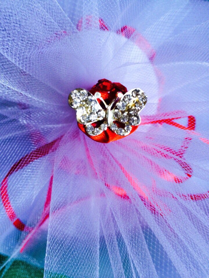 Svetlana Pavlova