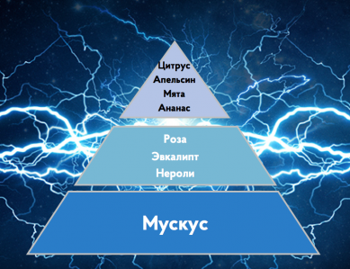 Портфолио
