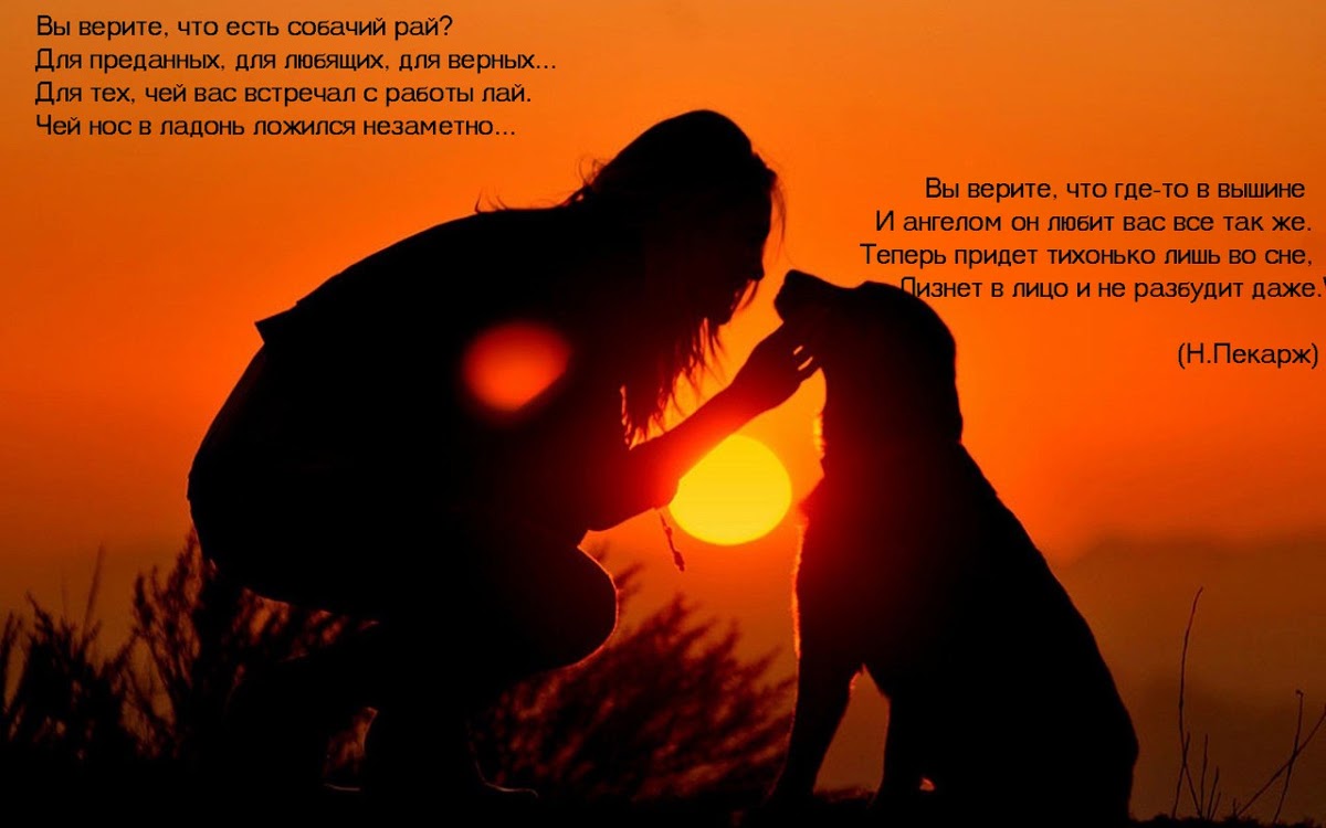 Стихи наглядно
