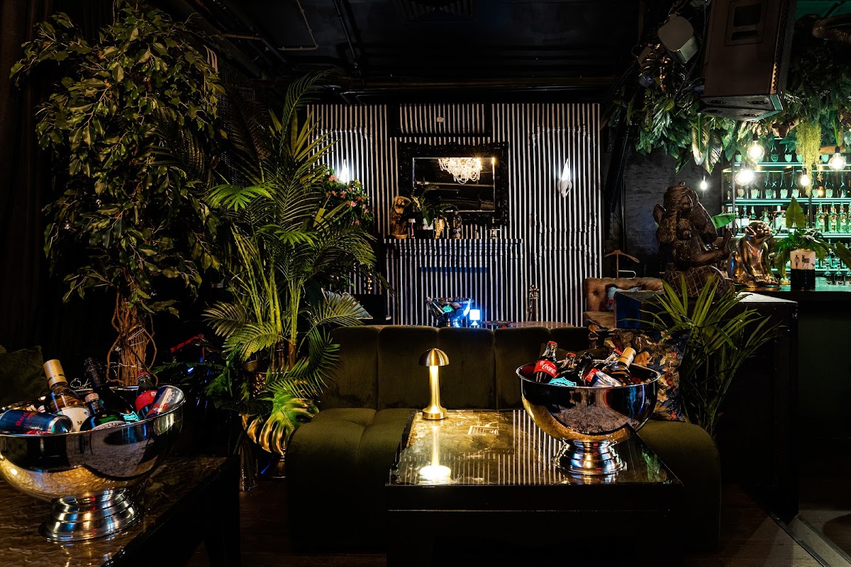 Monkey Lounge & Bar