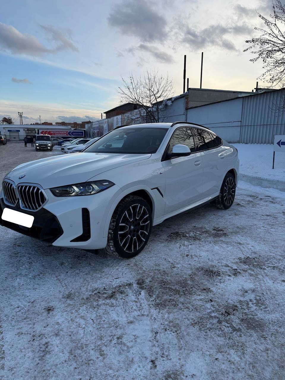 BMW X6