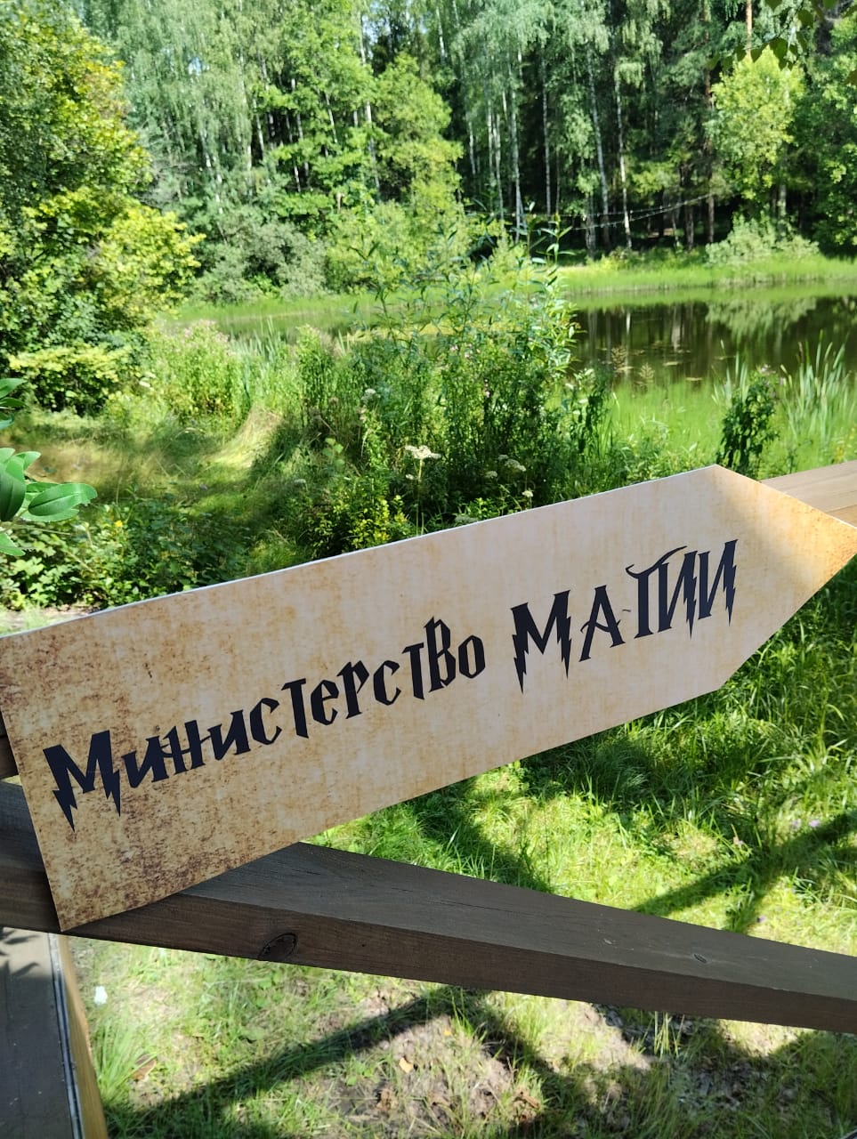 Свадьба в стиле Гарри Поттера