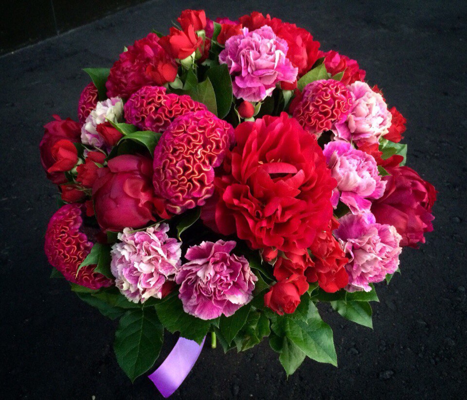 VaNDa