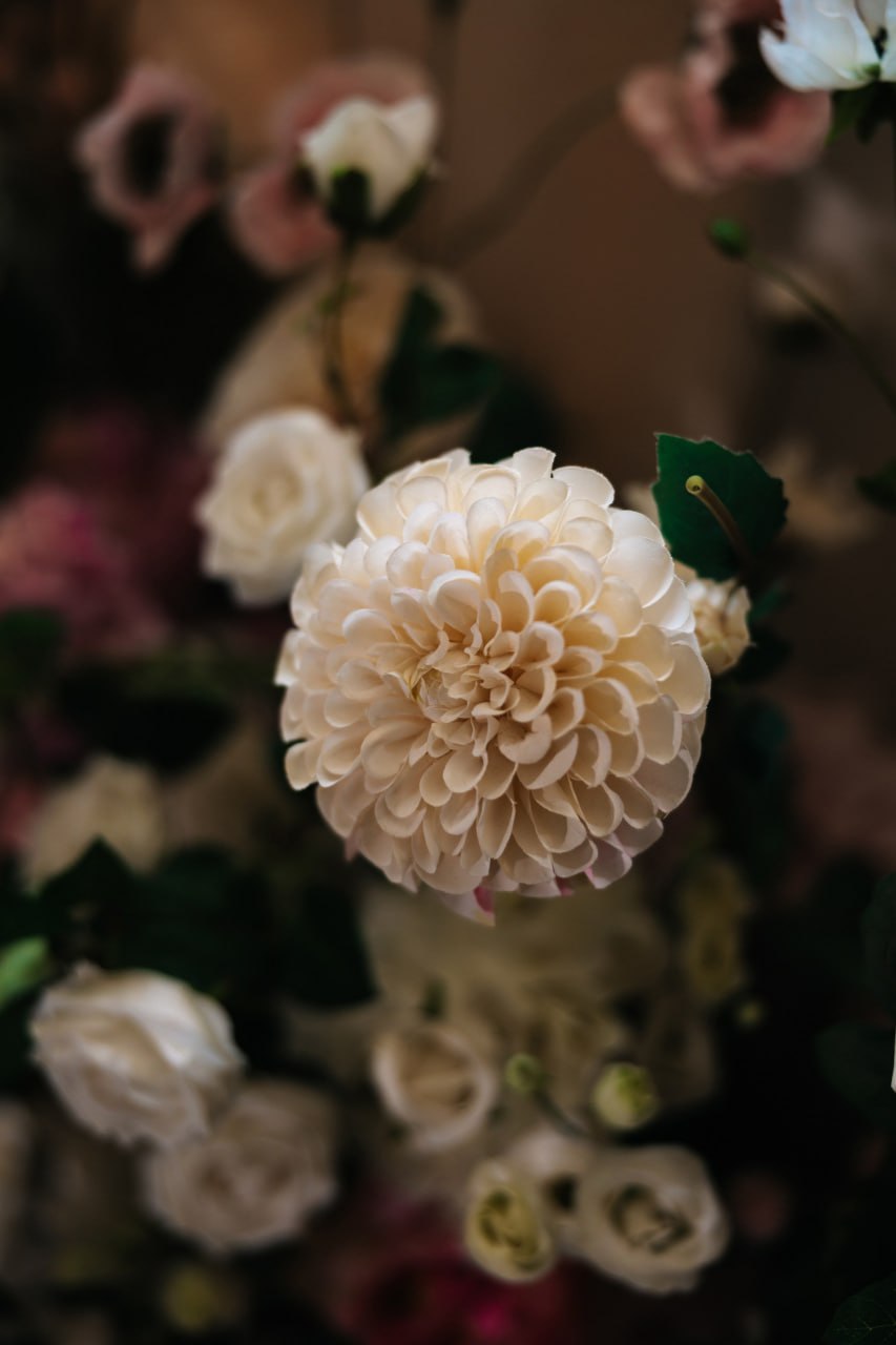 ‘сompletely pink’