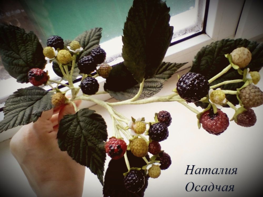 Наталия Осадчая