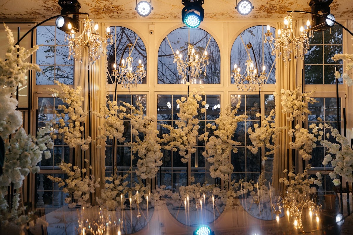 Дима & Света / Wedding Day