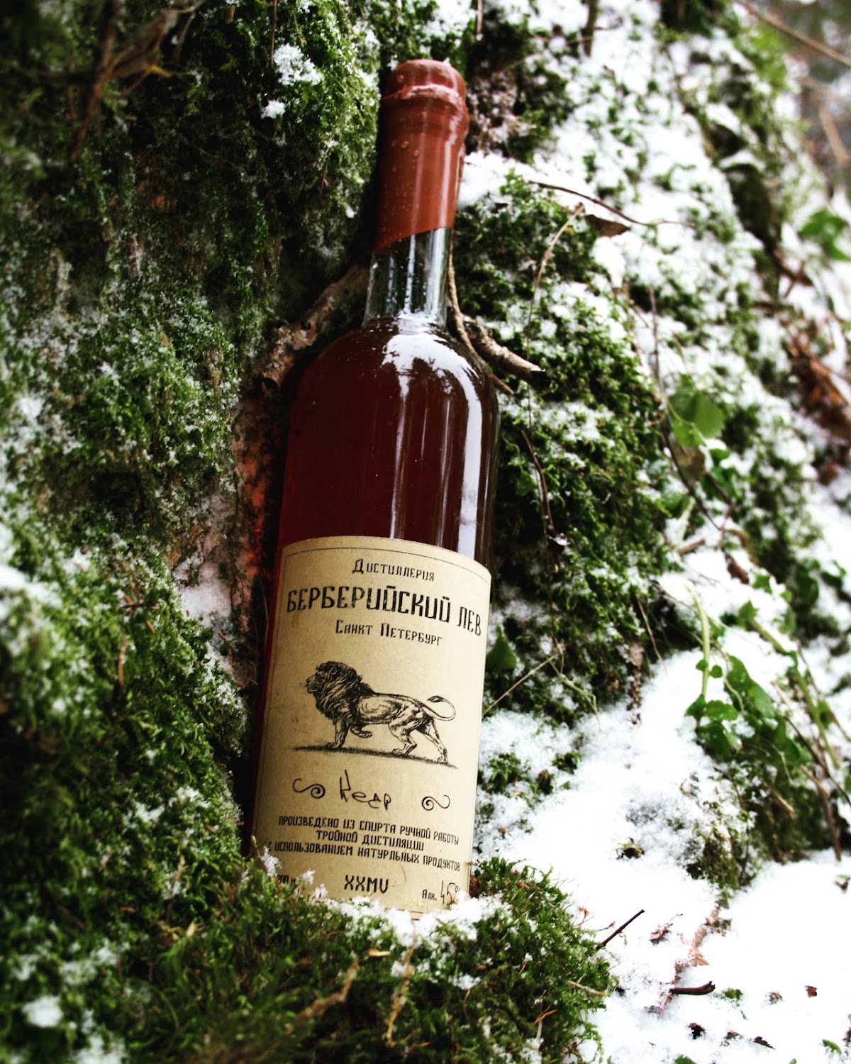Портфолио