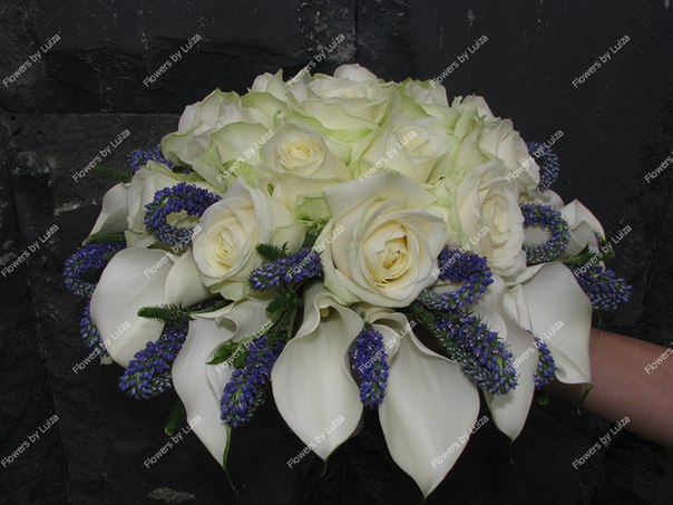 Flowers by Luiza