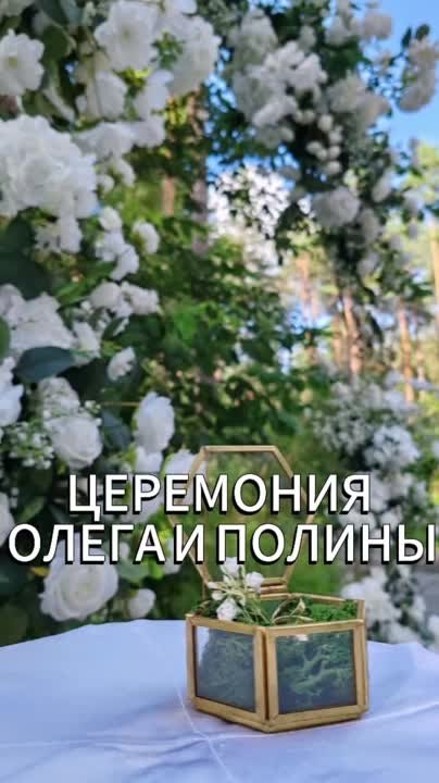 Видео Церемоний Регистраций