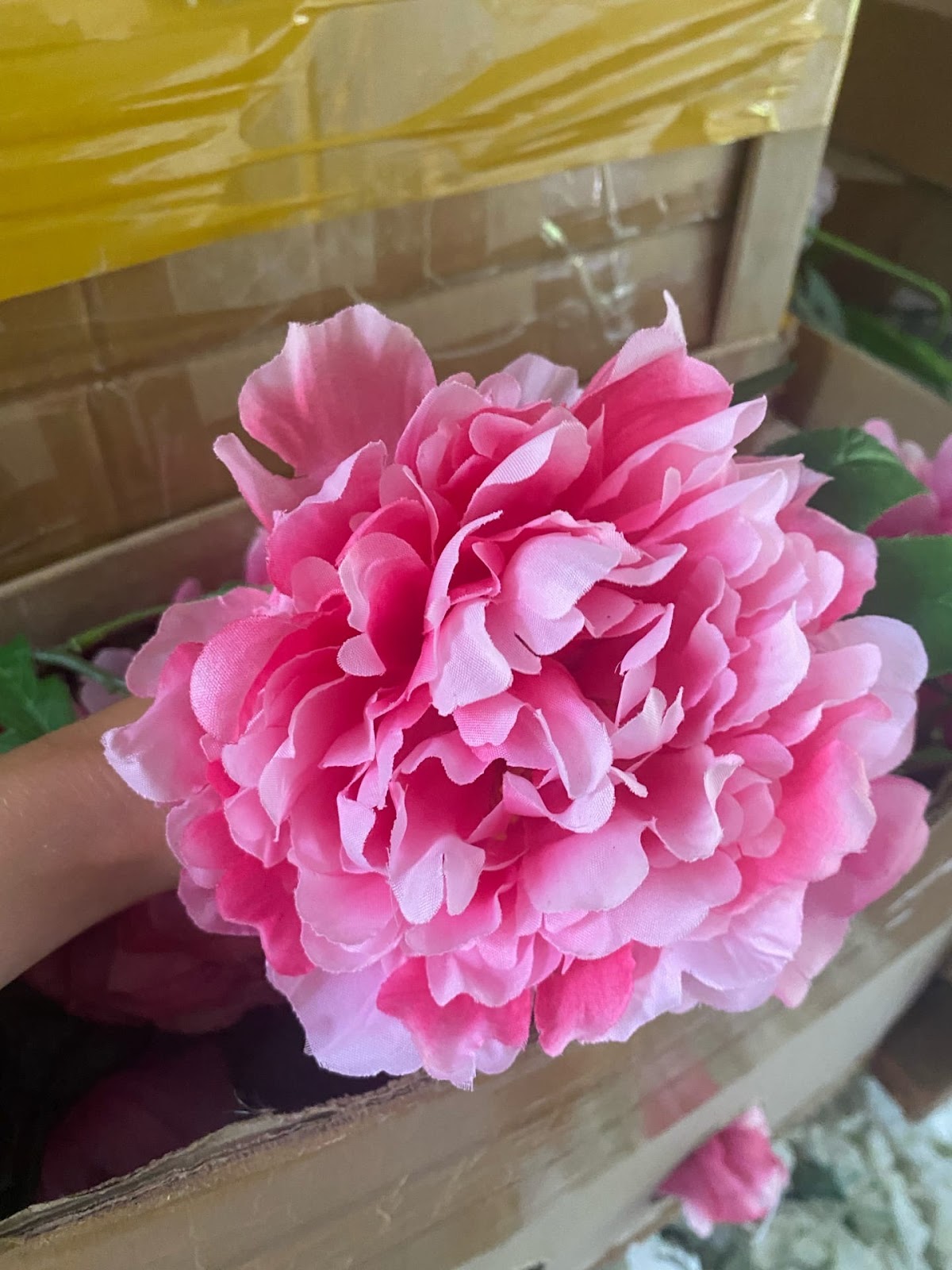 Кадр 54 из 75
