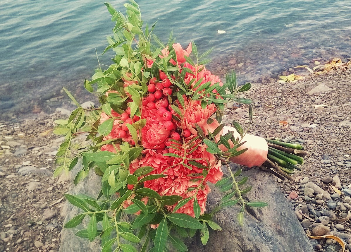 Кадр 38 из 85