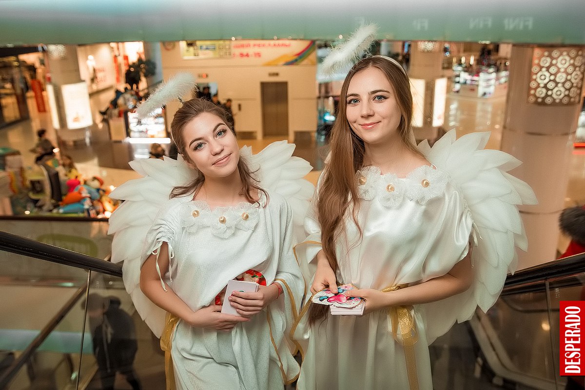 Портфолио: Свадьба
