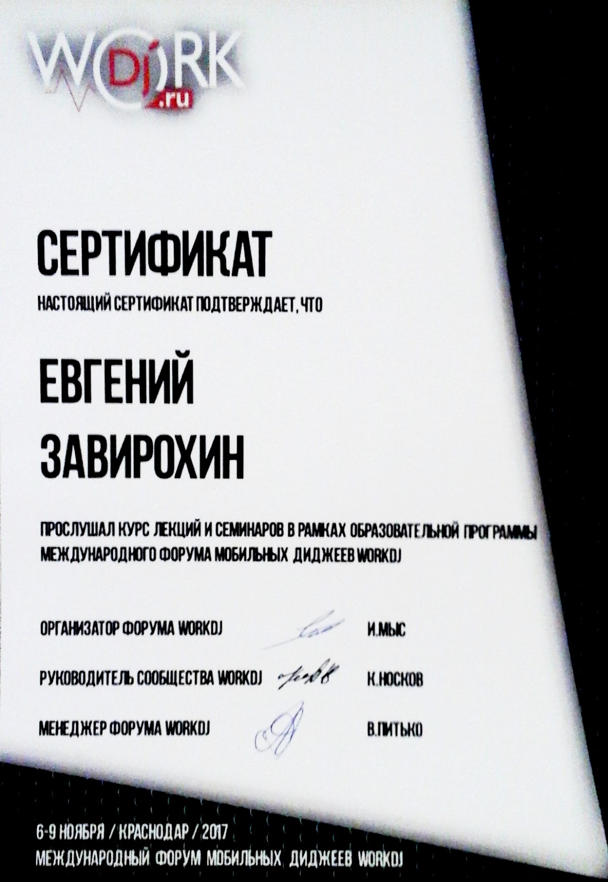 Портфолио: Свадьба