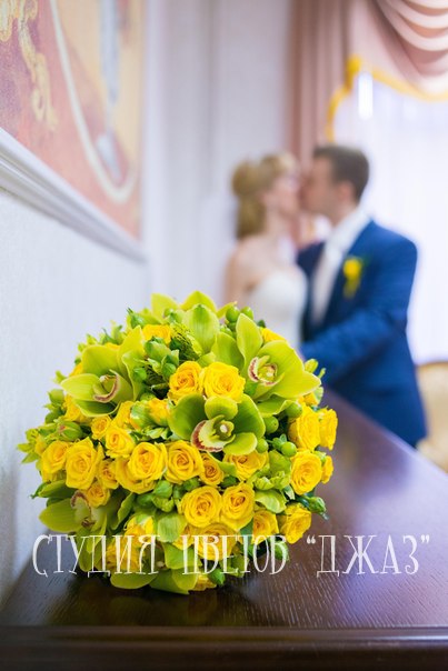 Фотографии