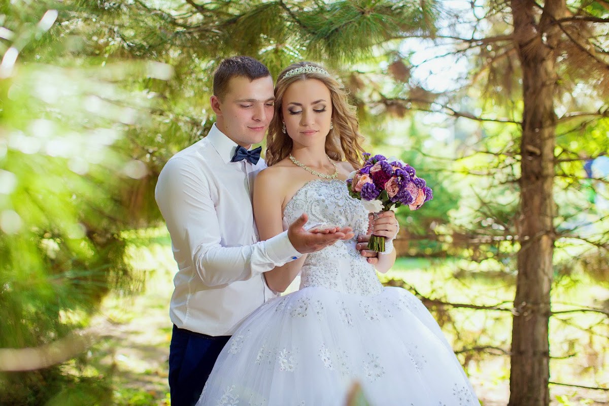 Фотографии