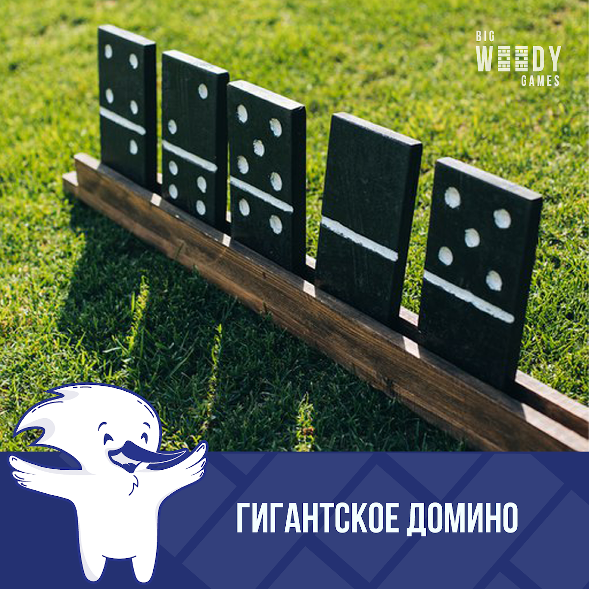 Портфолио