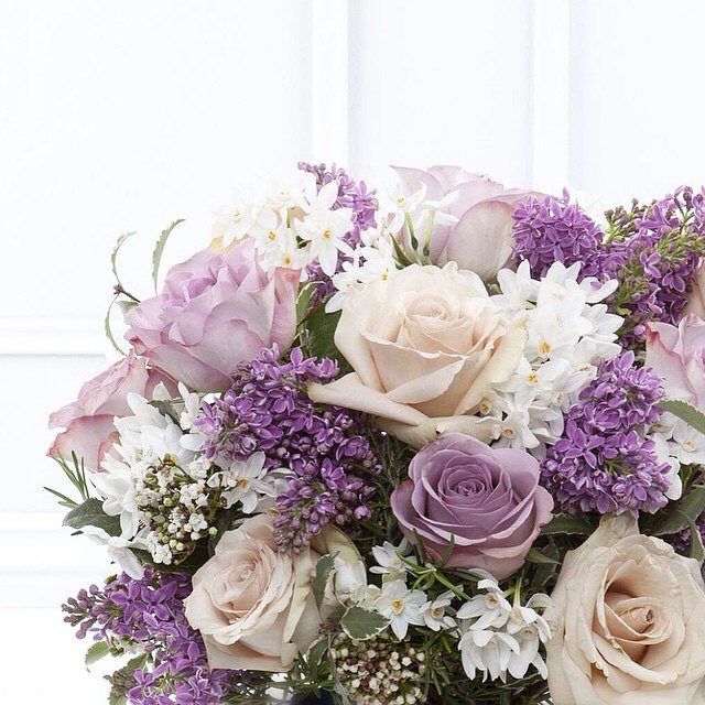 Belgarden flowers