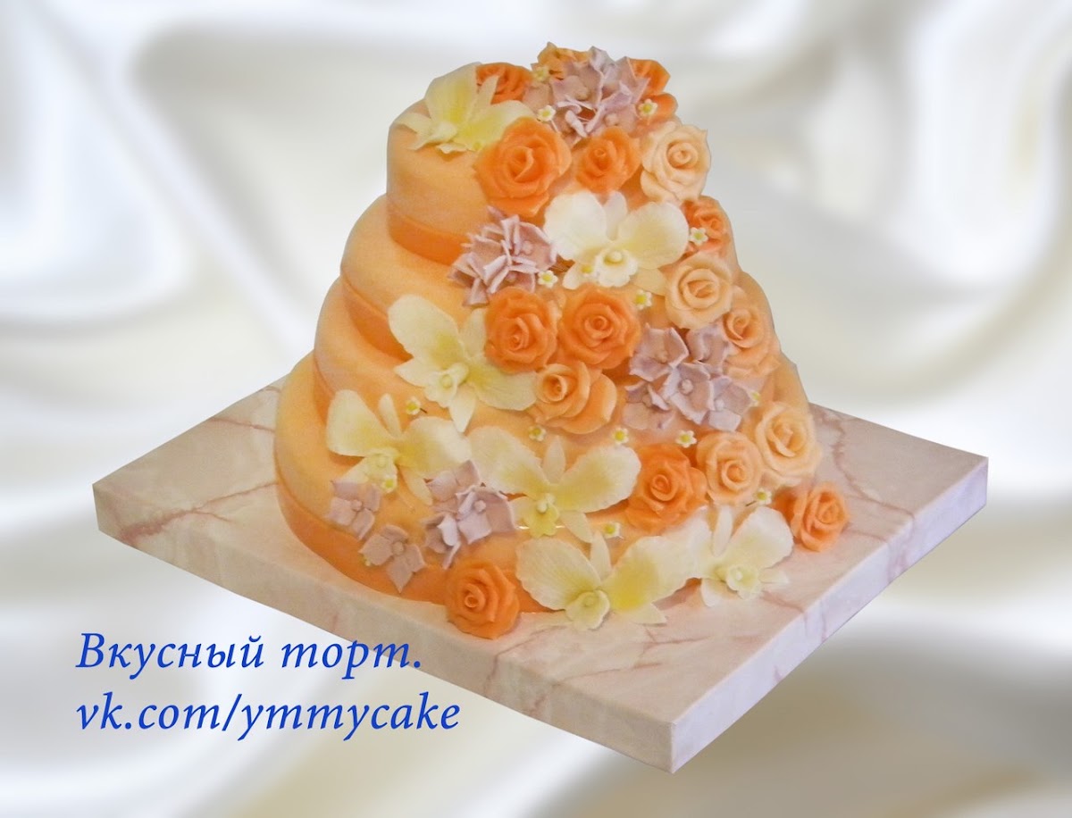 Портфолио