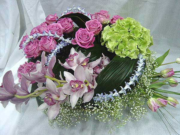 Кадр 31 из 41