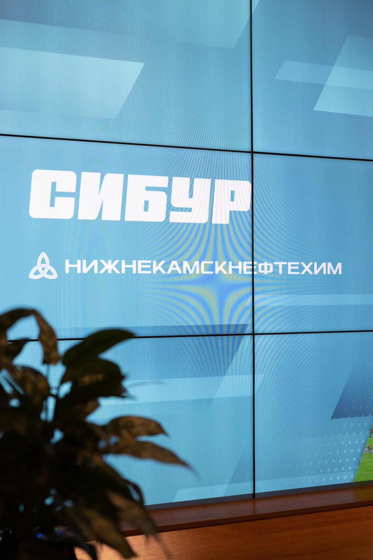 Кадр 77 из 200