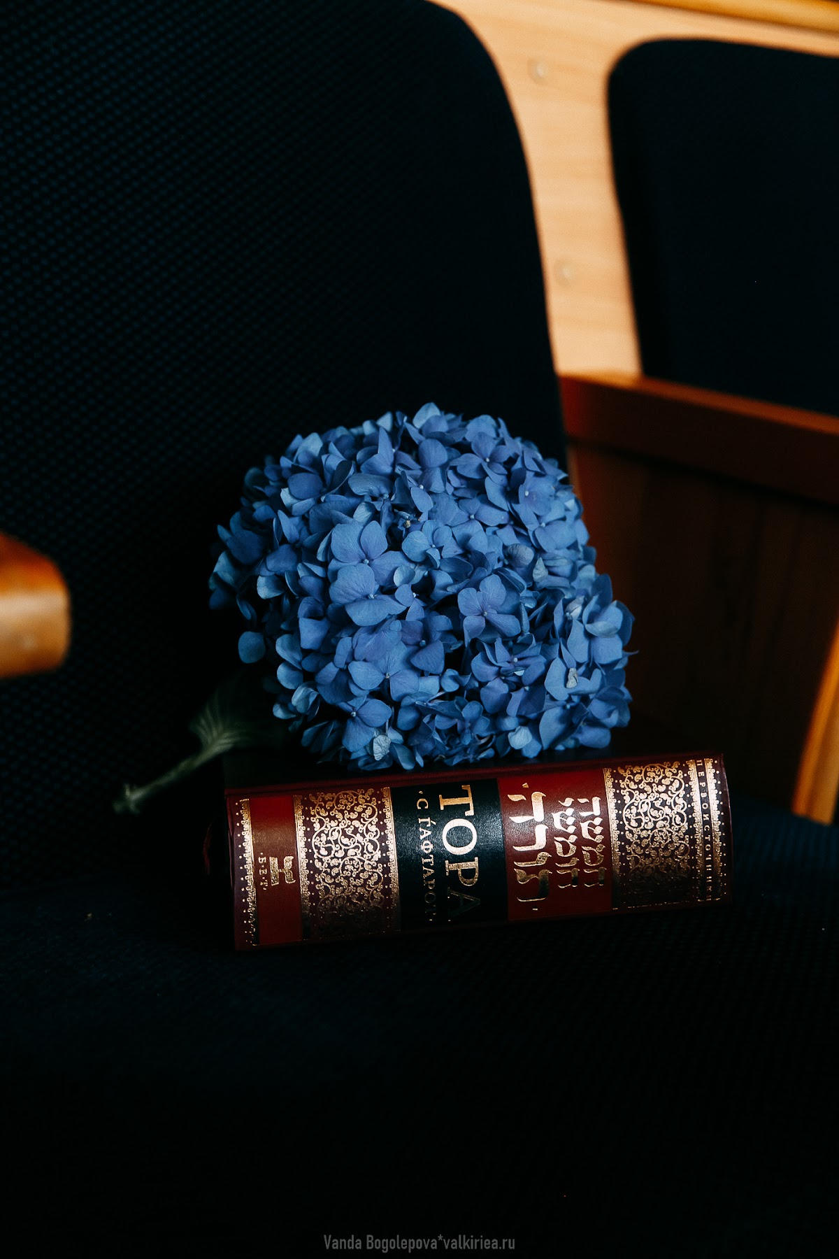 Кадр 125 из 133