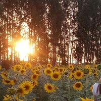 Екатерина Акулинина