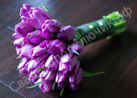 Портфолио