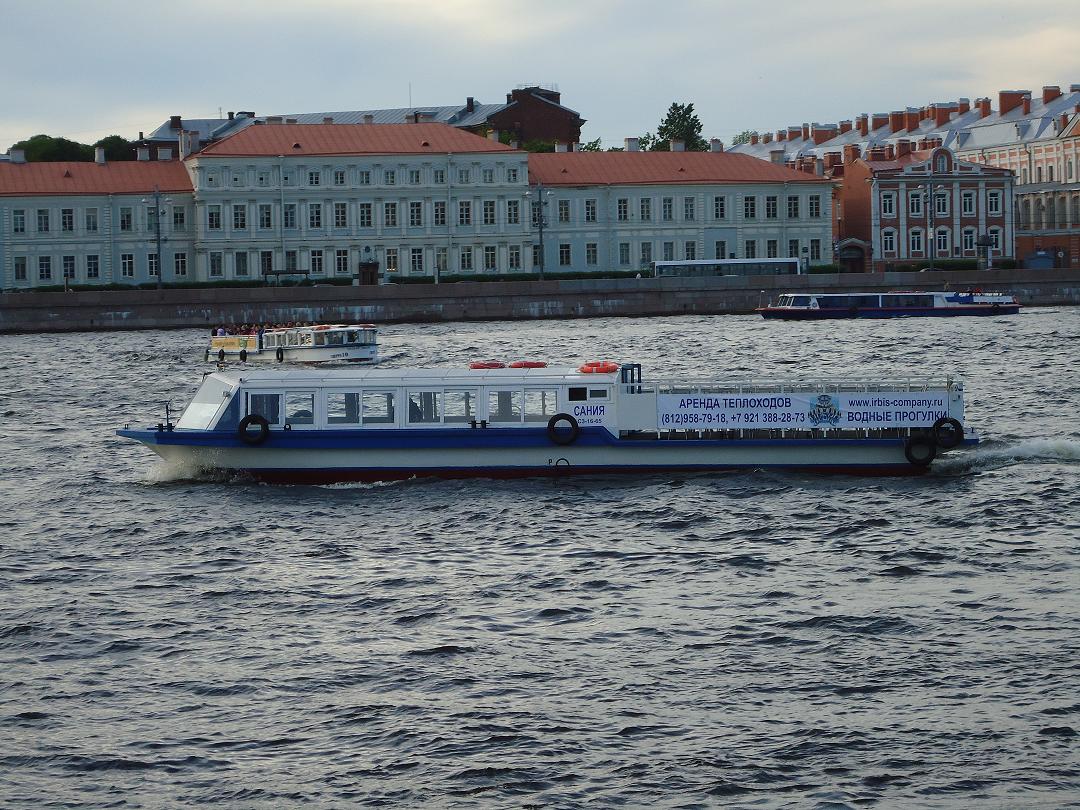 Сания