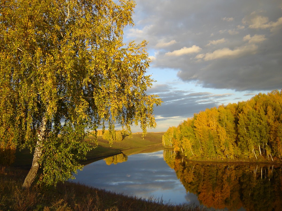 «Творчество»