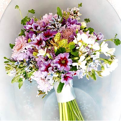 Absolut Flora — кадр 4 из 16