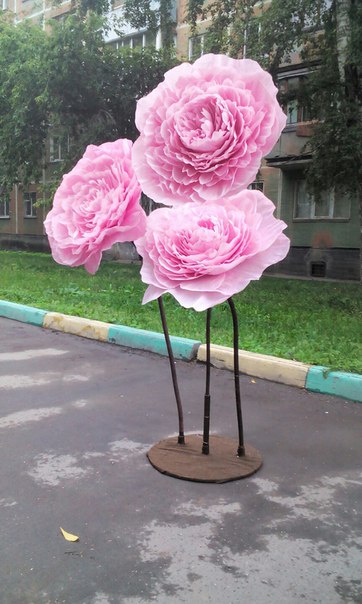 Кадр 39 из 124