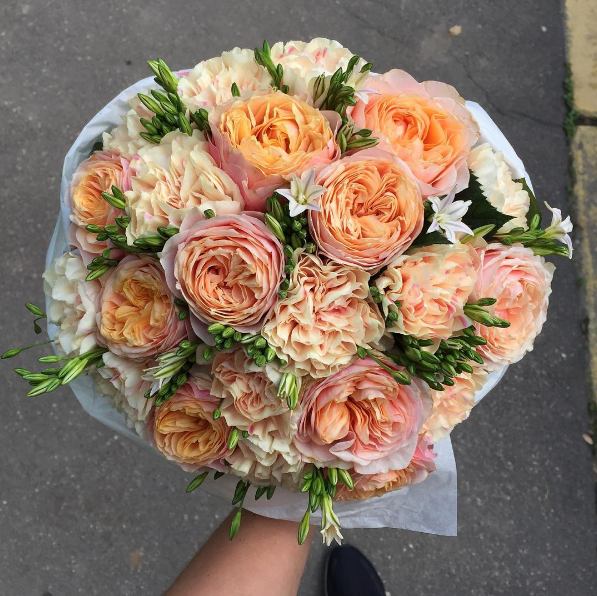 Florence Flowers