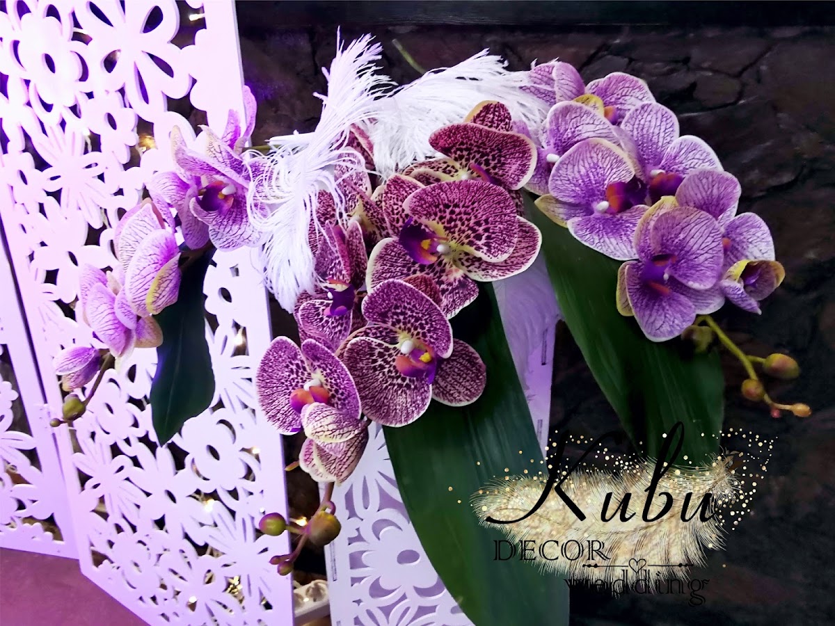 Ультрафиолет