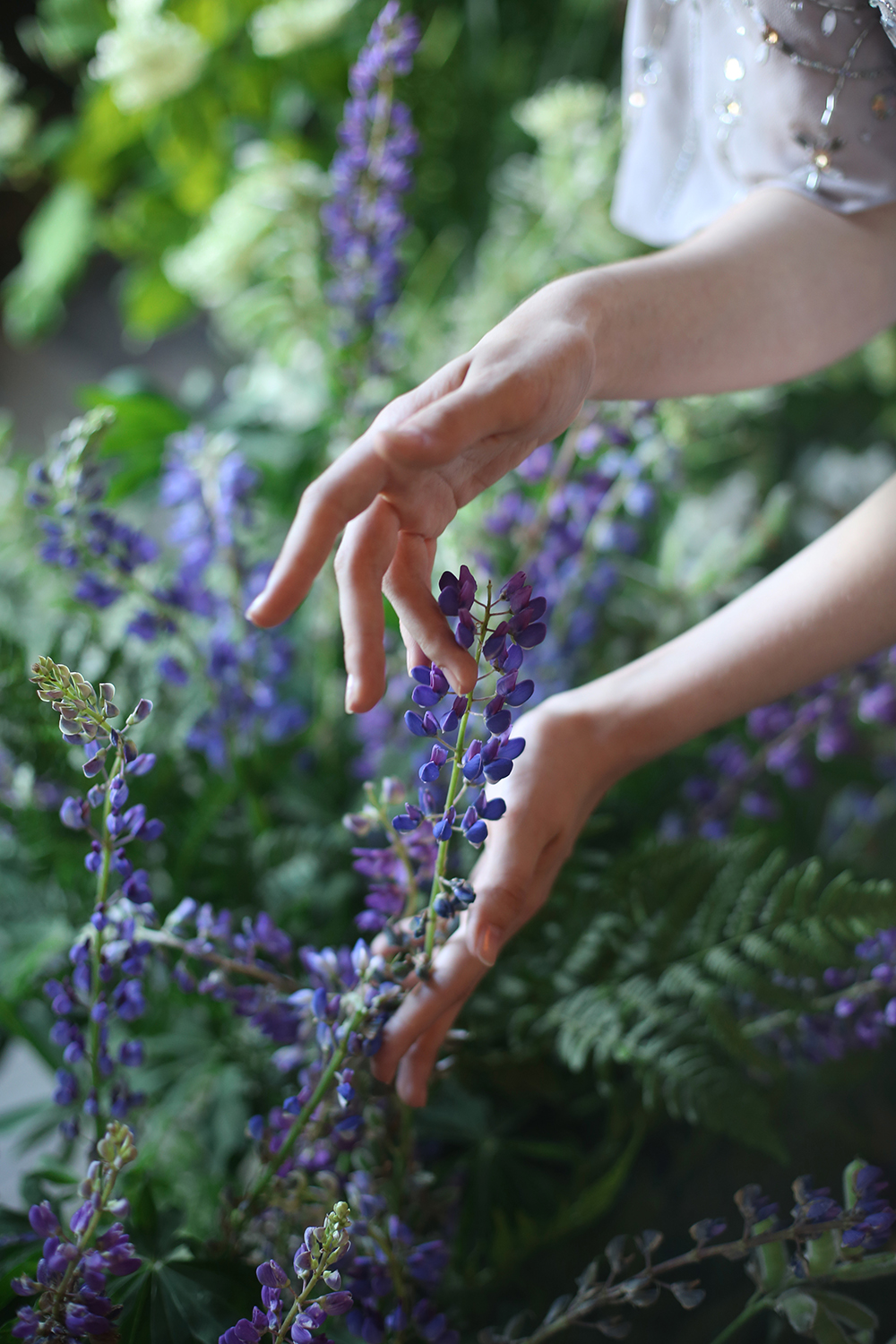 BUTTERFLY GARDEN