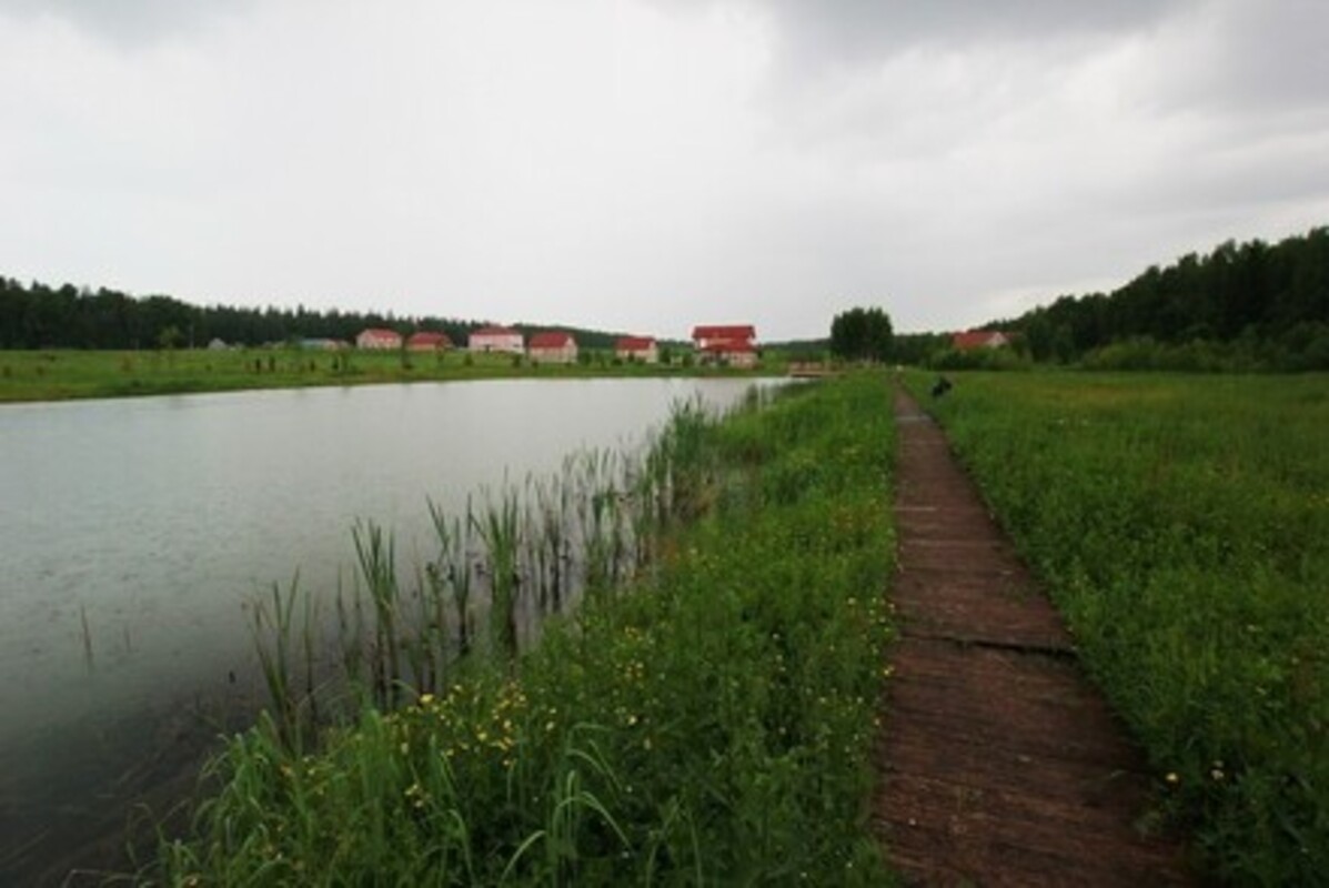 Фотогалерея ресторана