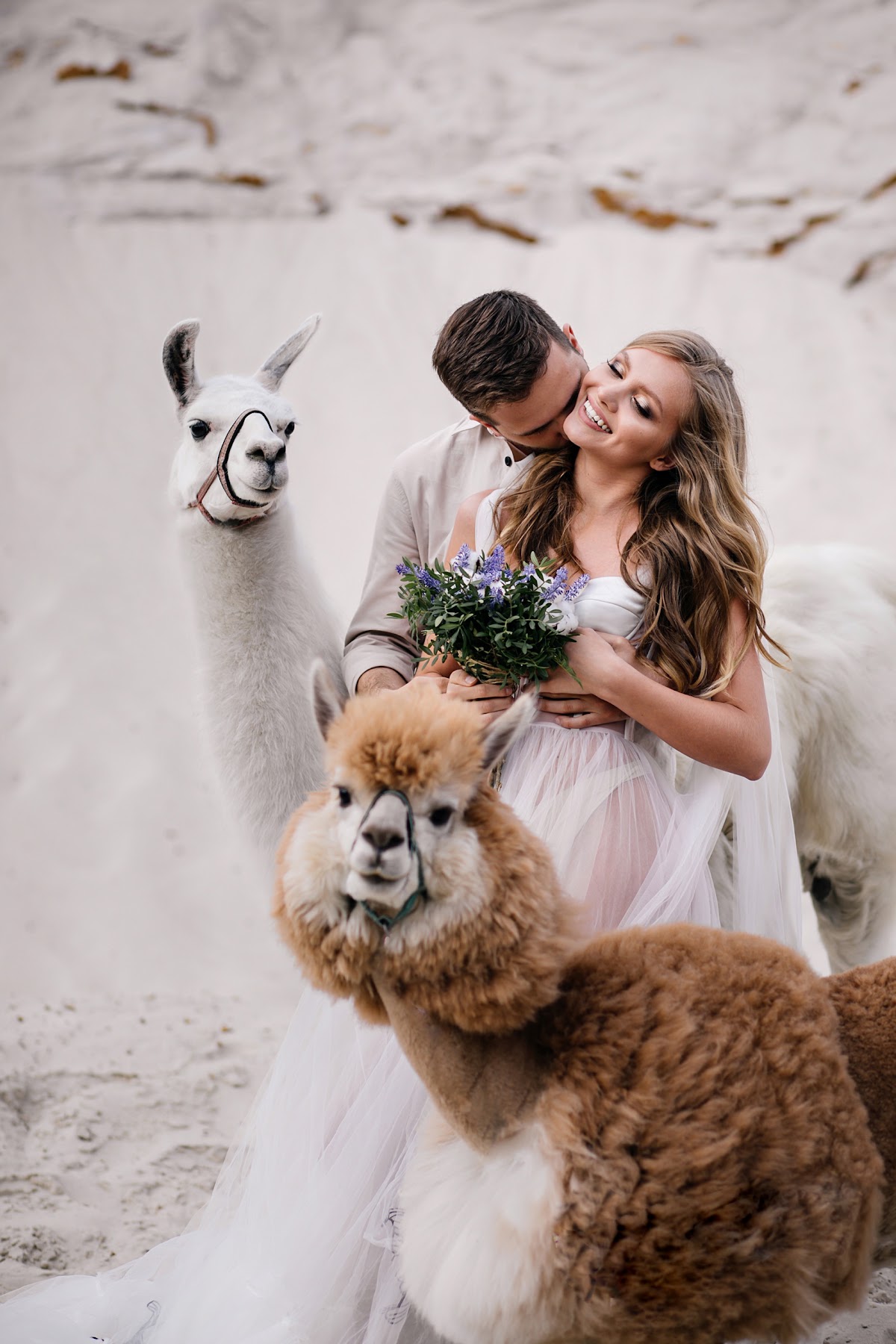 Портфолио: Love story