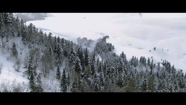 Алексей Бойко — кадр 4 из 13