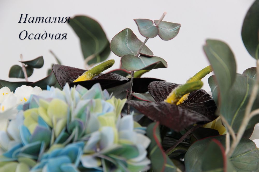 Портфолио