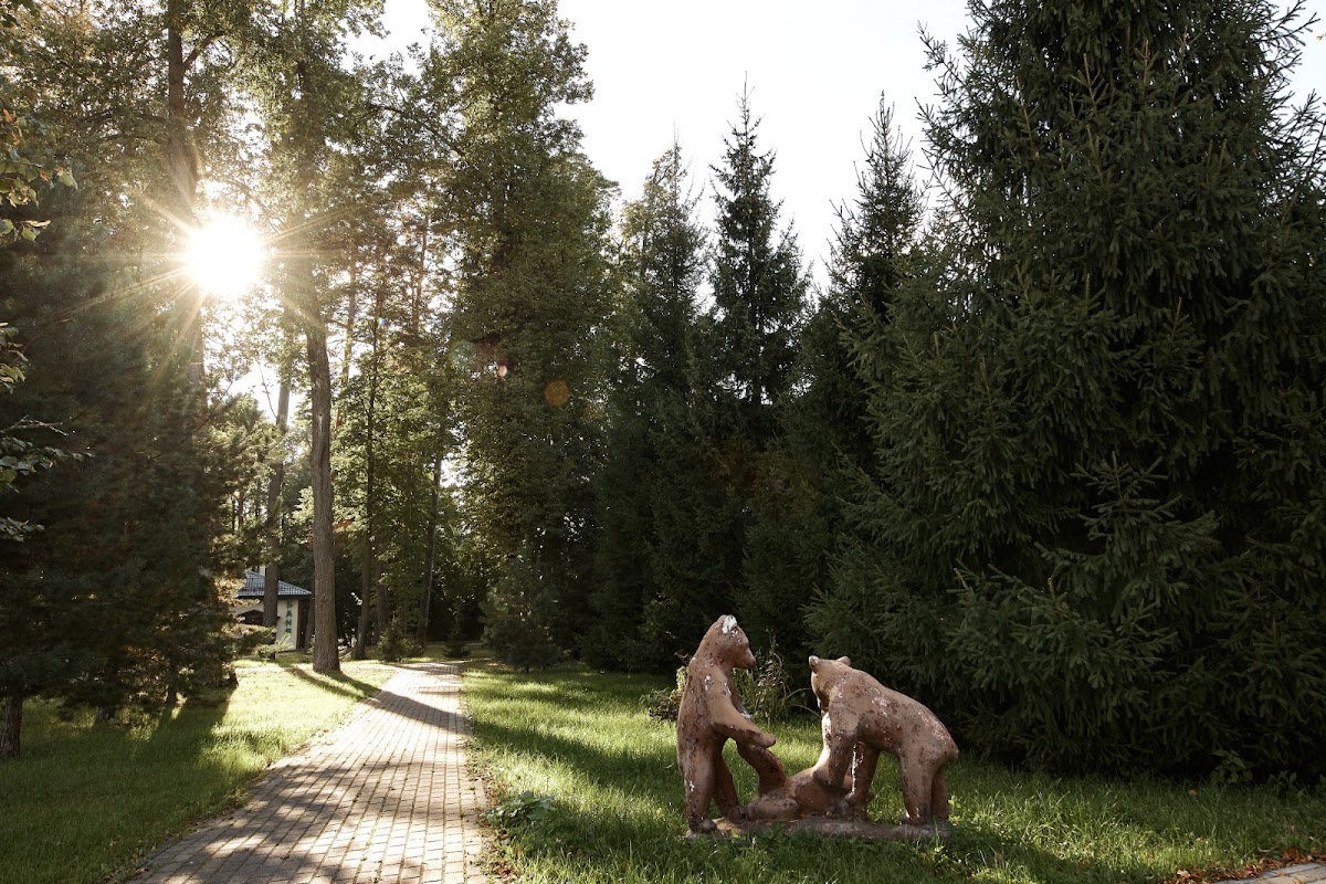 Фотогалерея ресторана