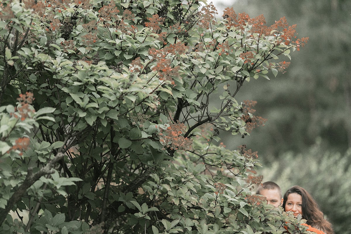 Свадебный отчёт