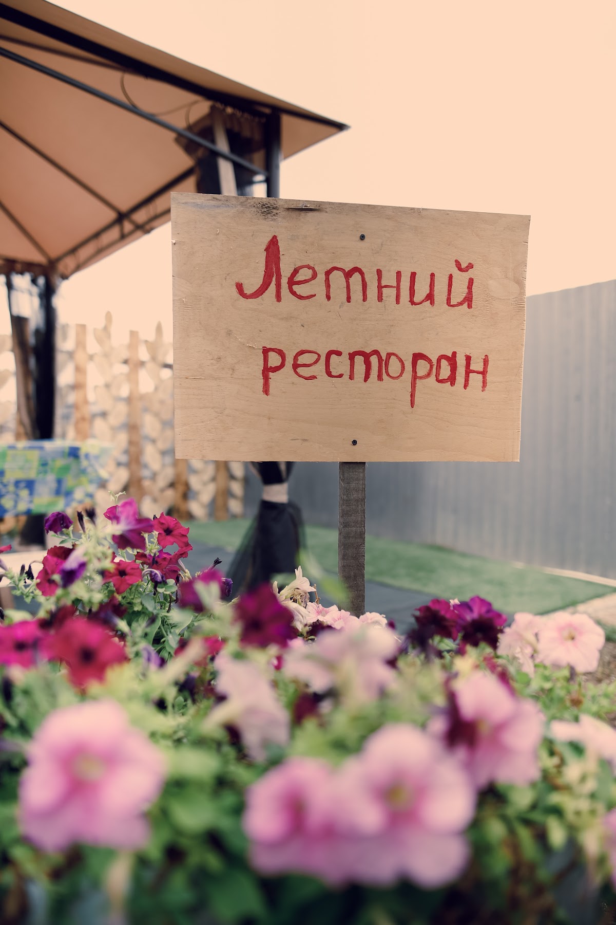 Артишок — кадр 2 из 143