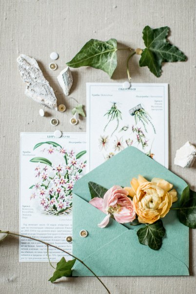 Garden Bloom Studio