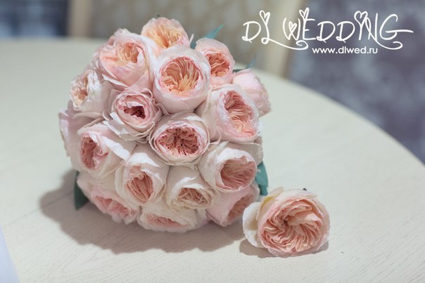 DL Wedding